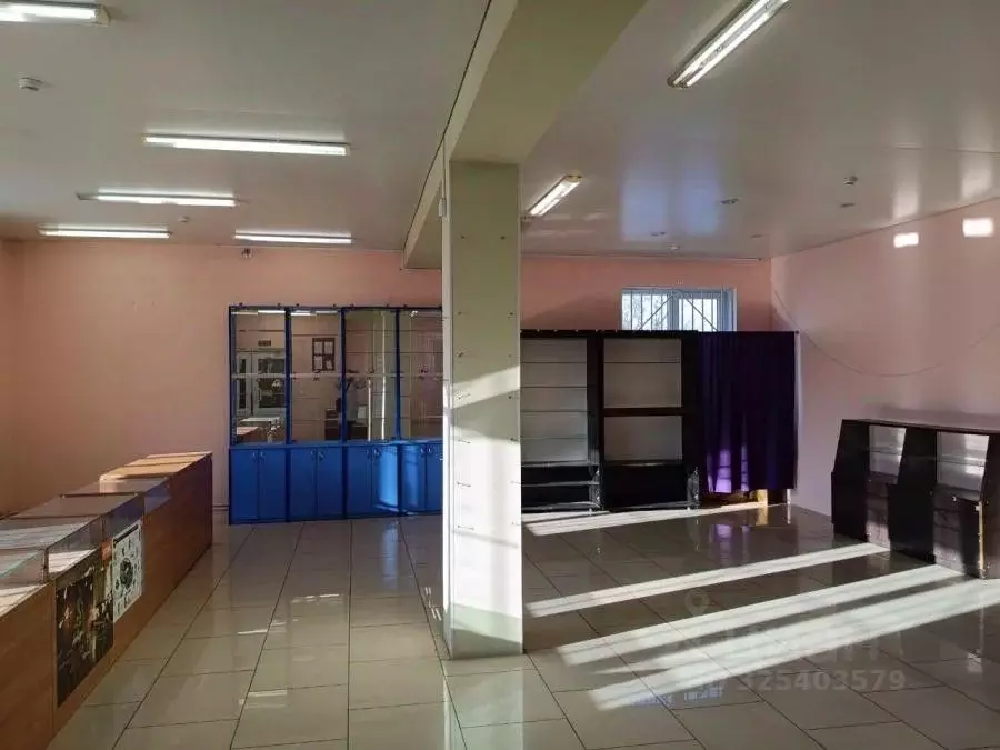 Дом в Воронежская область, Воронеж ул. Никитина, 87 (160 м) - Фото 2