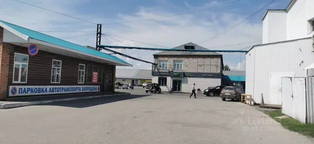 Торговая площадь в Новосибирская область, Сузун рп ул. Ленина, 52 (43 ... - Фото 2