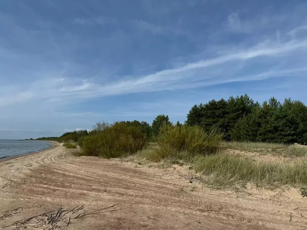 Участок в Псковская область, Гдовский район, Добручинская волость, д. ... - Фото 1