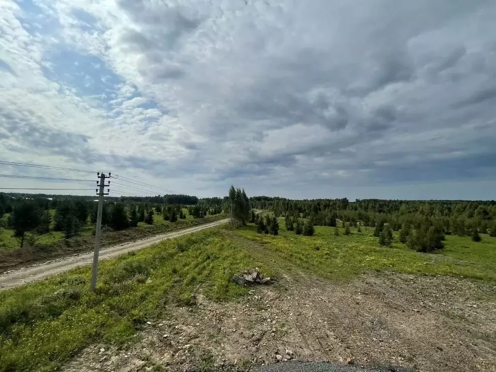 Участок в Московская область, Солнечногорск городской округ, д. ... - Фото 2