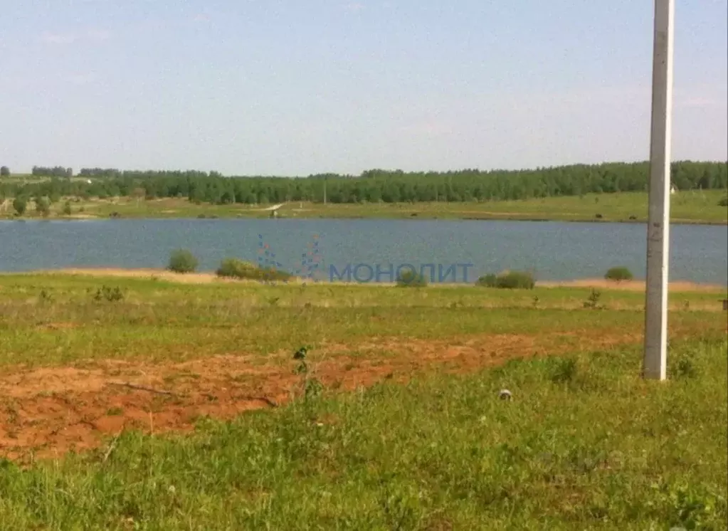 Участок в Нижегородская область, Богородский муниципальный округ, д. ... - Фото 0
