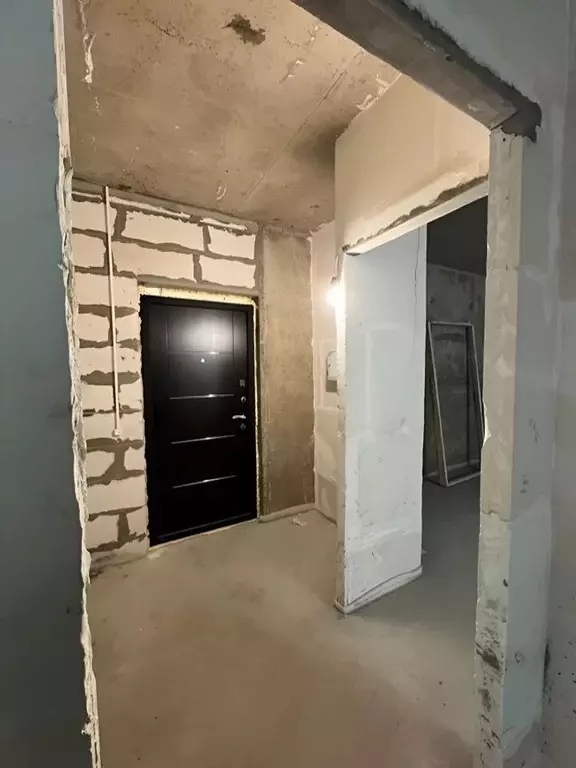 1-к кв. Московская область, Пушкинский городской округ, Лесной пгт ул. ... - Фото 2