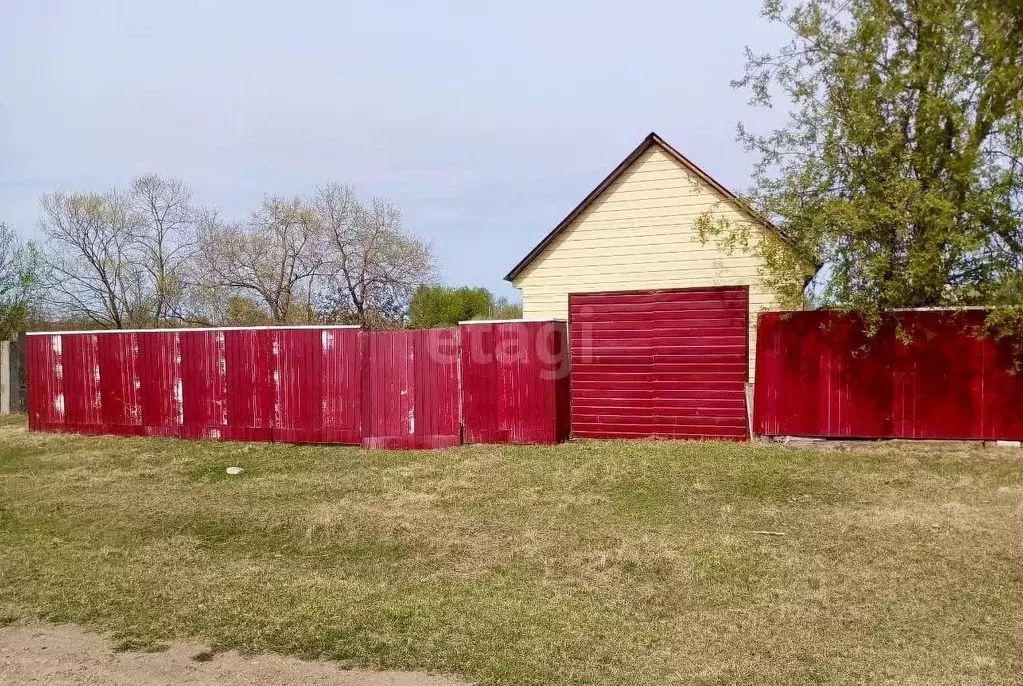 Дом в Амурская область, Свободненский район, с. Желтоярово ул. Мира ... - Фото 0