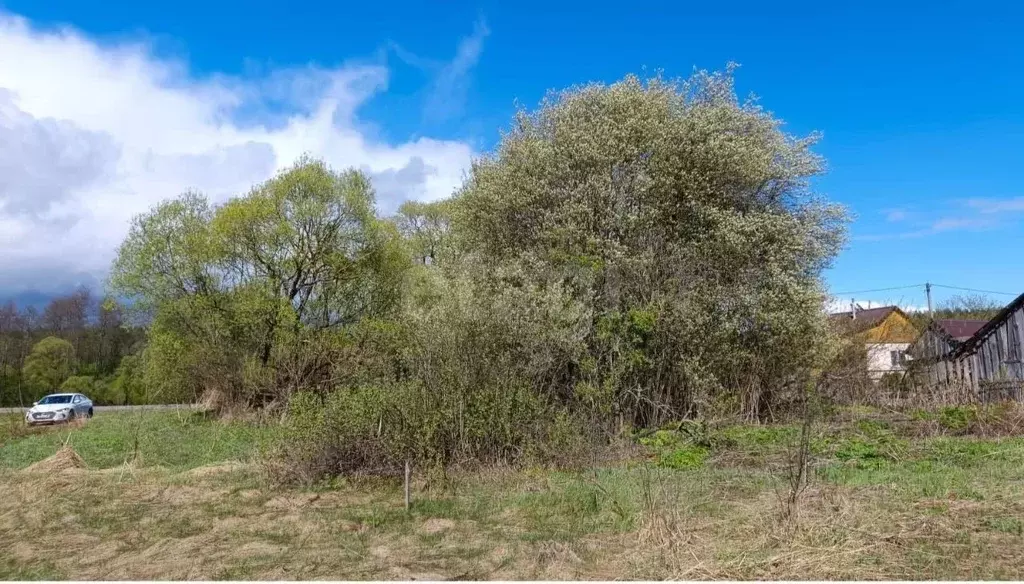 Участок в Калужская область, Юхновский муниципальный округ, ... - Фото 2