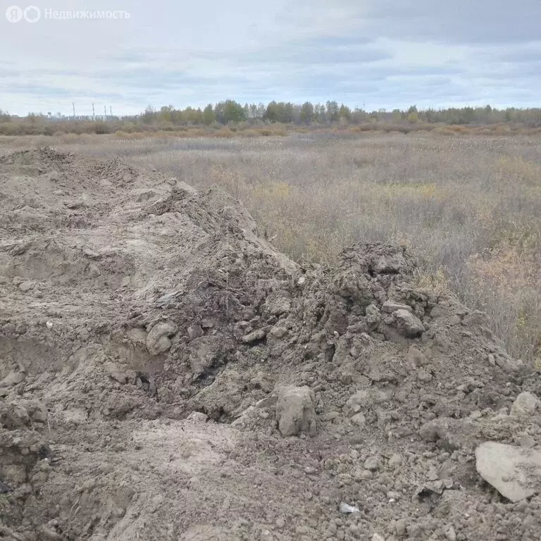 Участок в Тюмень, Калининский округ (10.9 м) - Фото 2