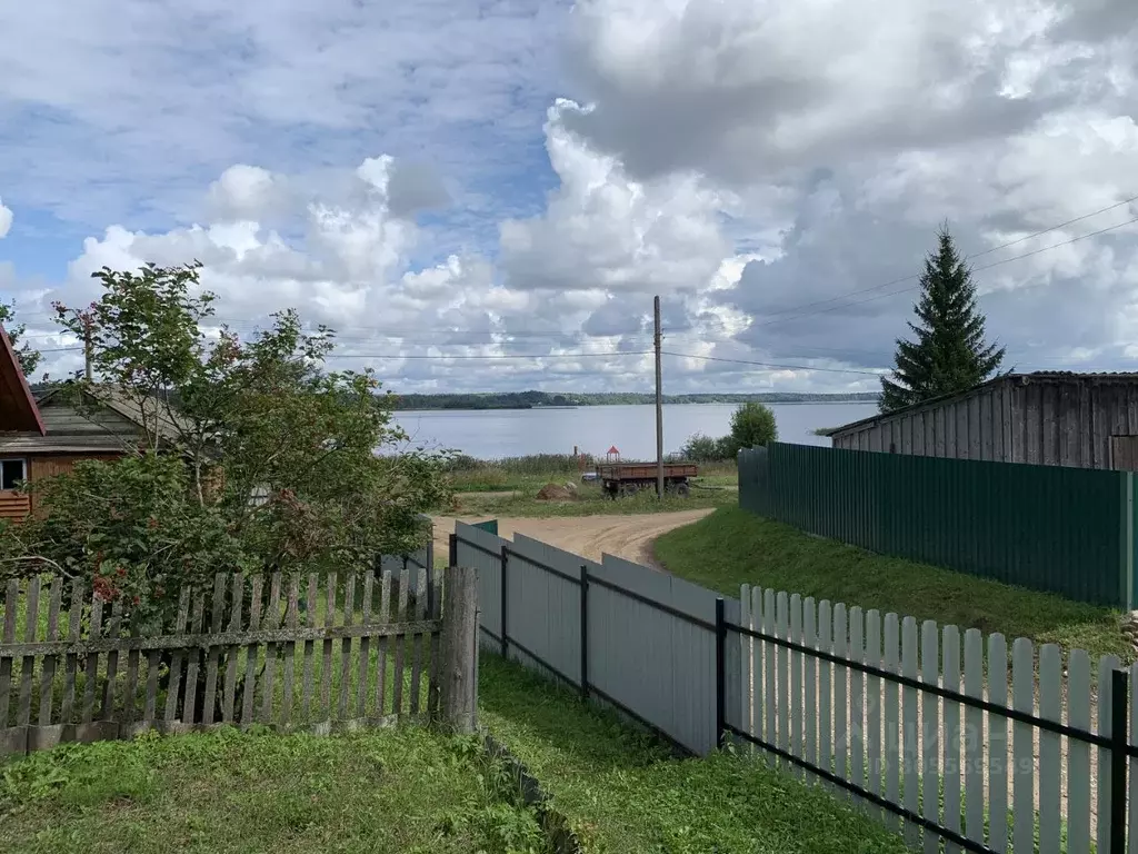 Участок в Тверская область, Осташковский городской округ, д. Свапуще  ... - Фото 0