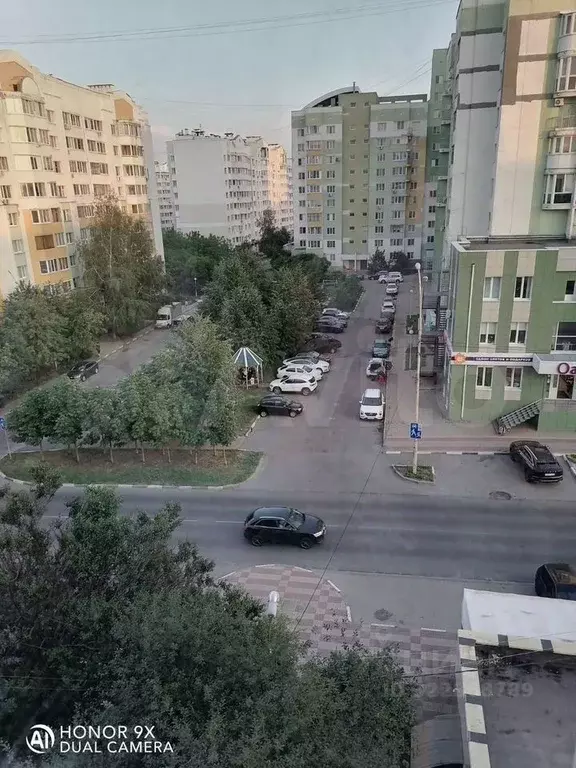 2-к кв. Белгородская область, Белгород ул. Щорса, 45а (50.0 м) - Фото 1