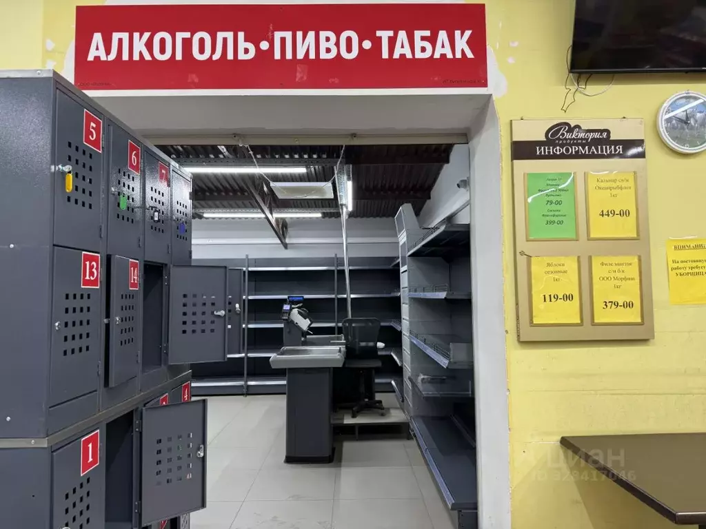 Торговая площадь в Тульская область, Донской Северо-Задонск мкр, ул. ... - Фото 2