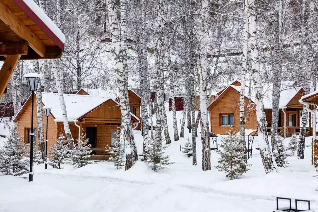 Дом в Красноярский край, Дивногорск городской округ, пос. Манский, ... - Фото 1