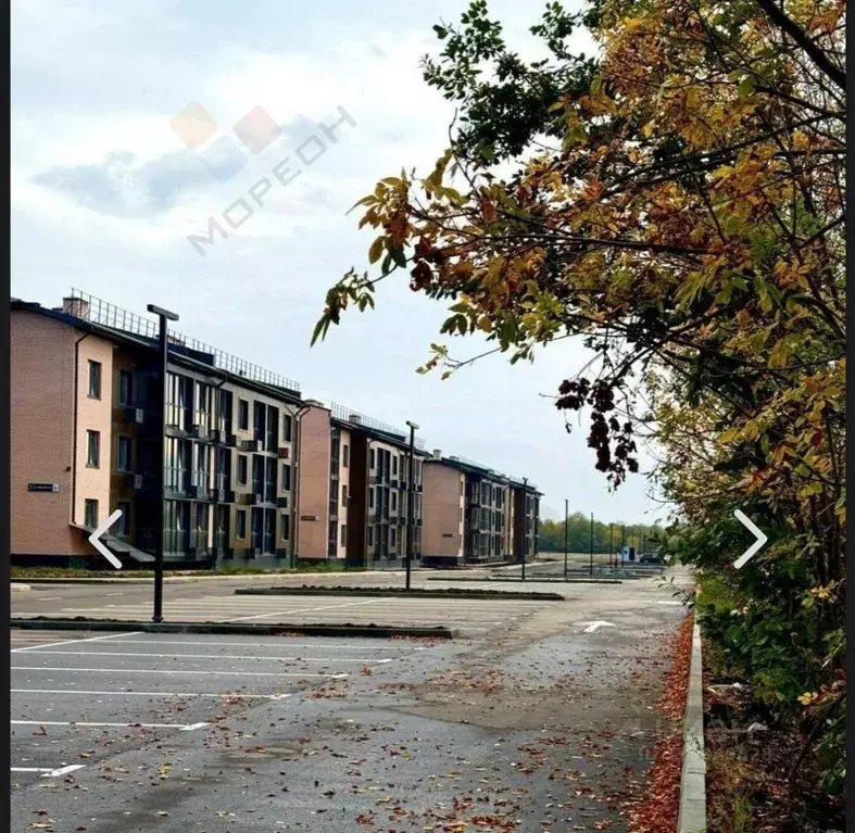 1-к кв. Краснодарский край, Краснодар пос. Березовый, ул. Имени А.Н. ... - Фото 0