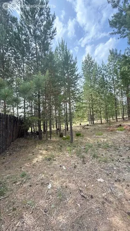 Участок в Тарбагатайский район, сельское поселение Заводское, ДНТ ... - Фото 0