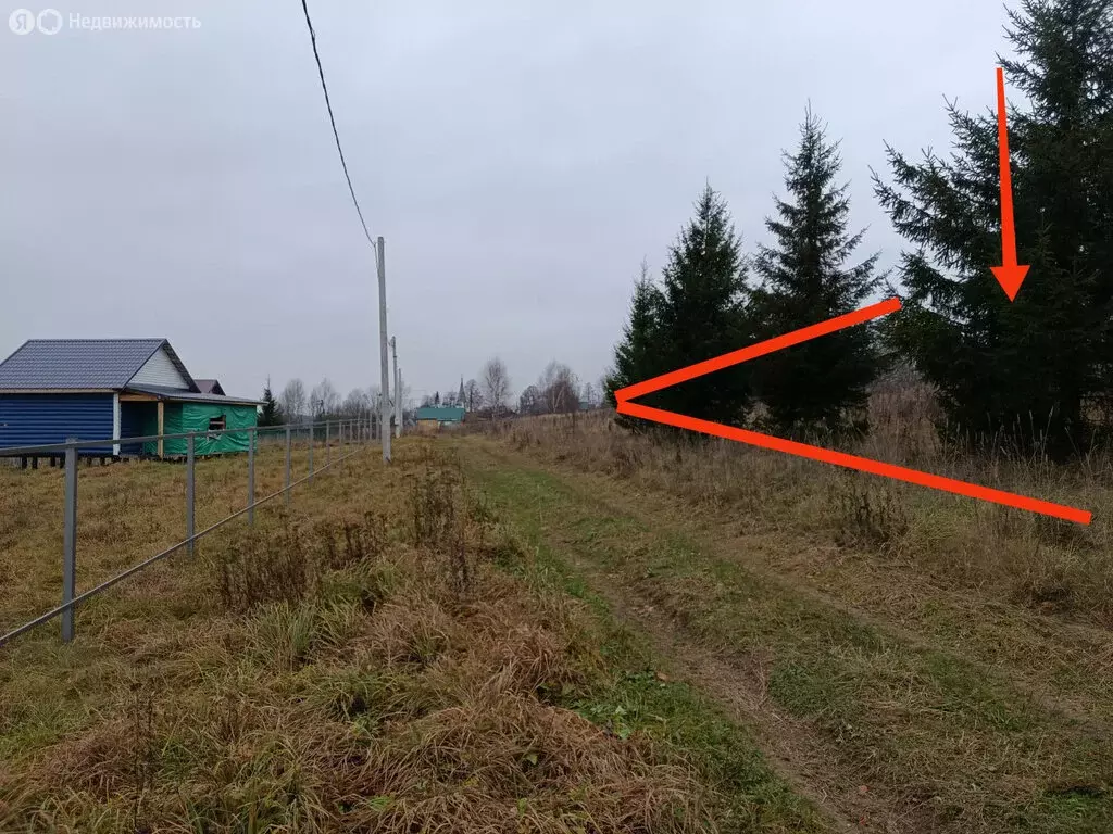 Участок в Ярославская область, Тутаевский муниципальный округ, село ... - Фото 1