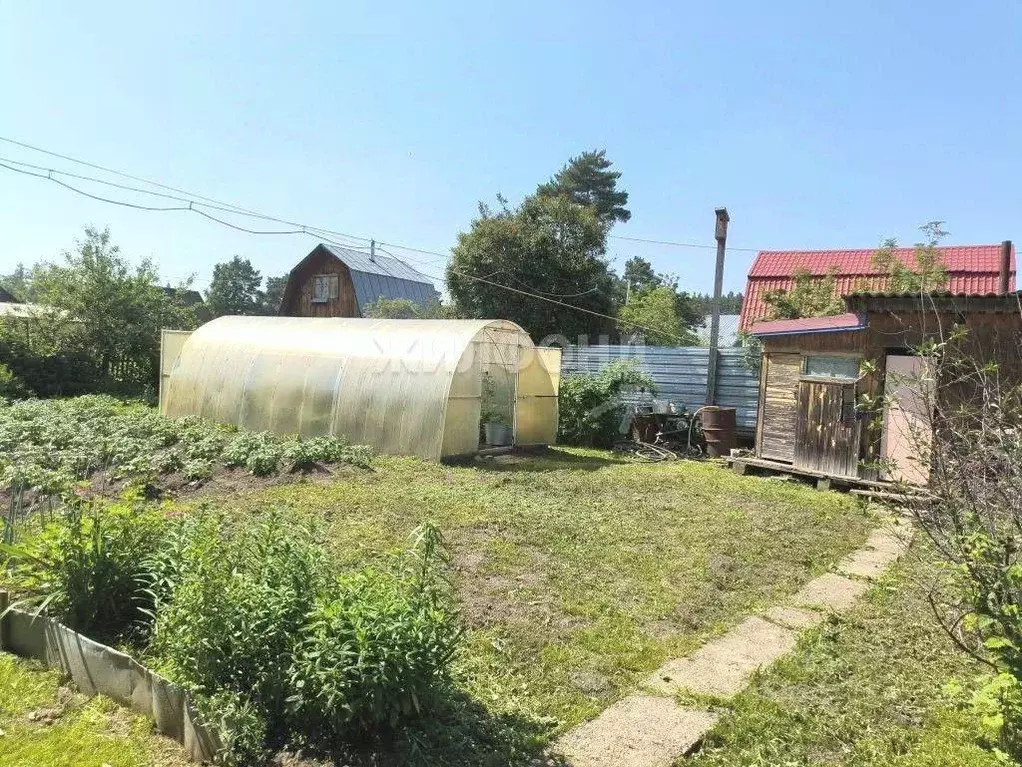 Дом в Томская область, Томский район, Лесная дача СНТ 2 (25 м) - Фото 1