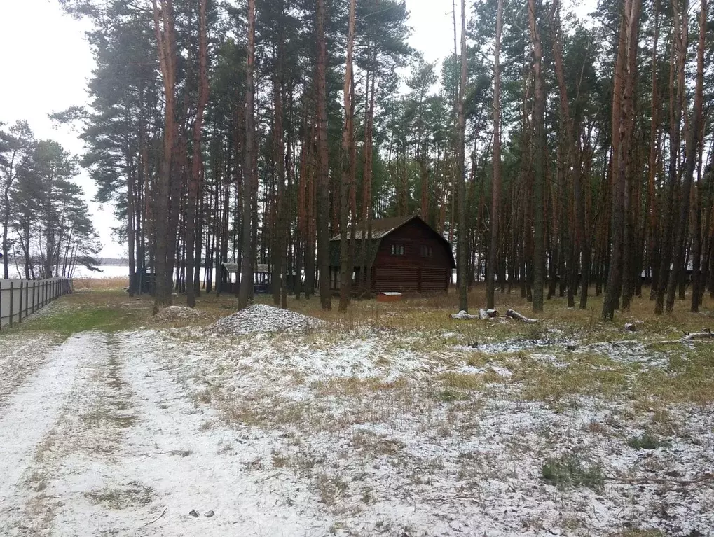 Дом в Курская область, Железногорский район, Городновский сельсовет, ... - Фото 0