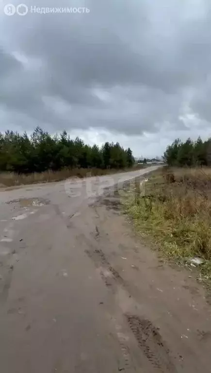 Участок в Завьяловский район, деревня Каменное (100 м) - Фото 2