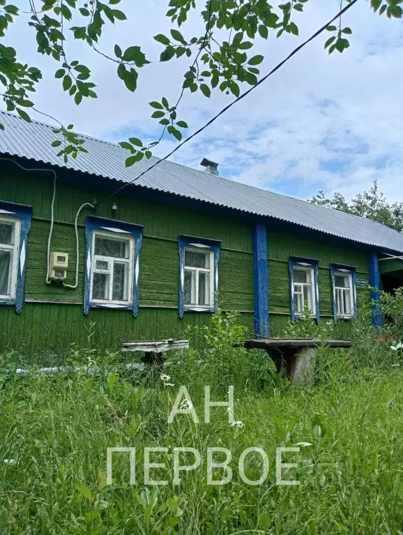 Дом в Рязанская область, Ряжск Мичуринская ул. (42 м) - Фото 0