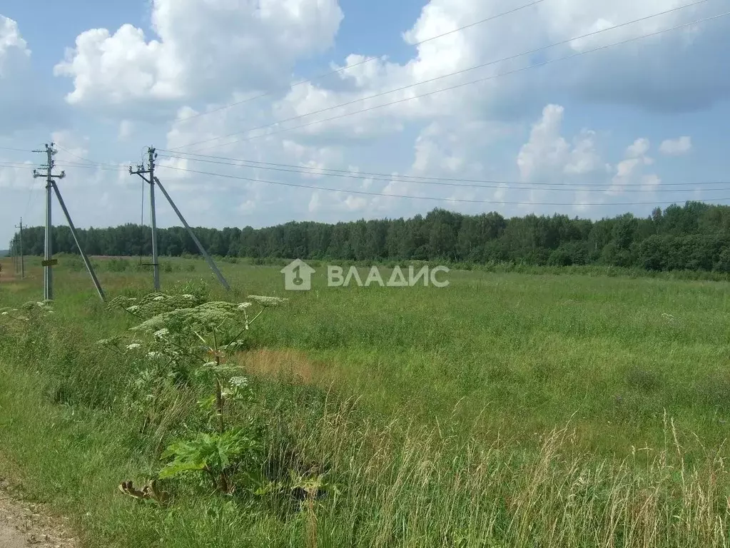 Участок в Московская область, Клин городской округ, д. Богаиха, д. ... - Фото 1