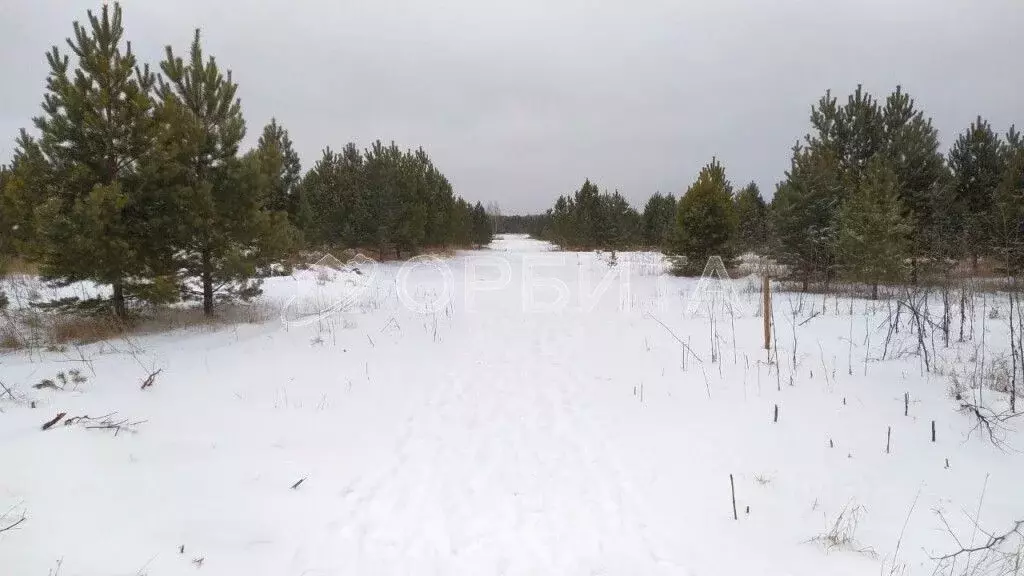 Участок в Тюменская область, Тюменский район, с. Каменка  (6.0 сот.) - Фото 0