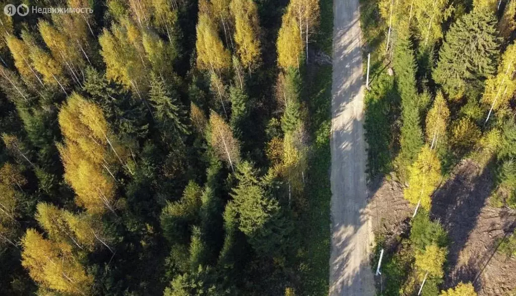 Участок в Ломоносовский район, Кипенское сельское поселение, деревня ... - Фото 2