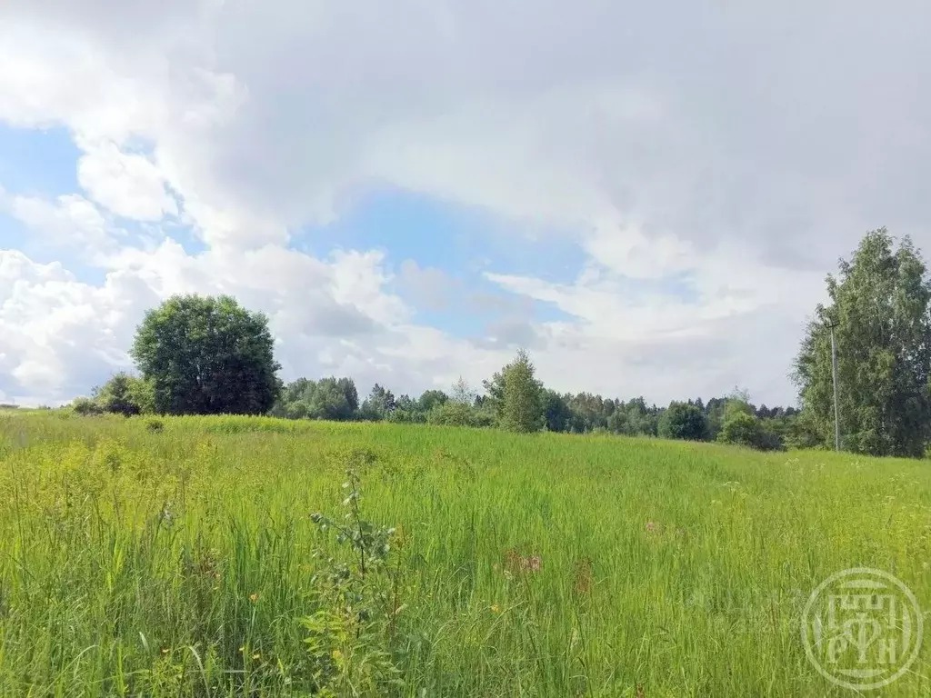 Участок в Ленинградская область, Выборгский район, Красносельское ... - Фото 2