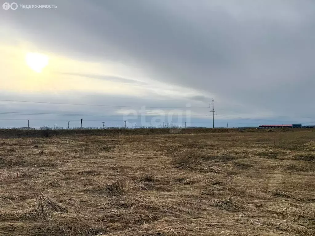 Участок в деревня Крутые Выселки, микрорайон Звёздный, Графитовая ... - Фото 1