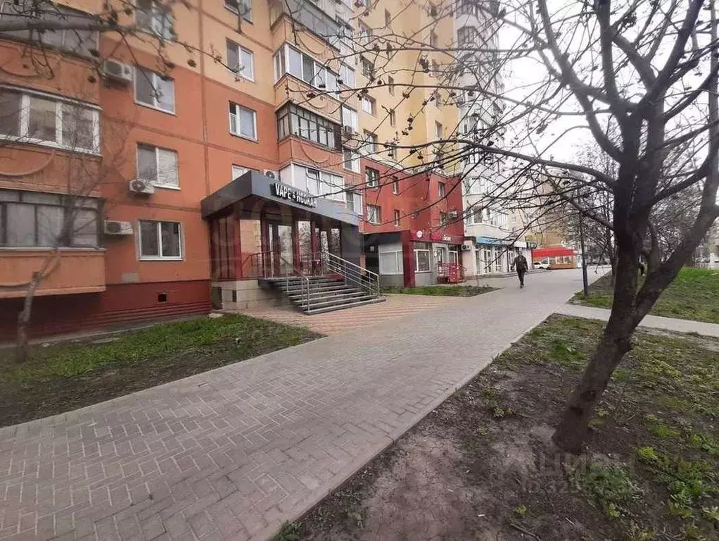 Торговая площадь в Белгородская область, Белгород ул. Буденного, 10 ... - Фото 2