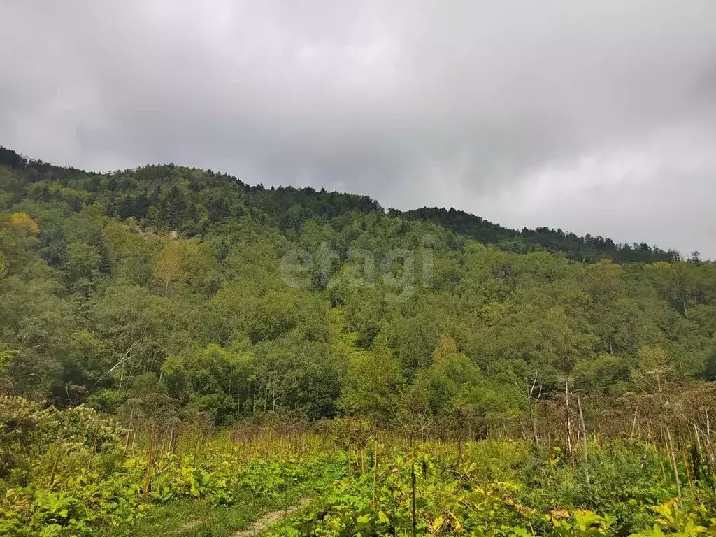 Участок в Сахалинская область, Южно-Сахалинск городской округ, с. ... - Фото 1