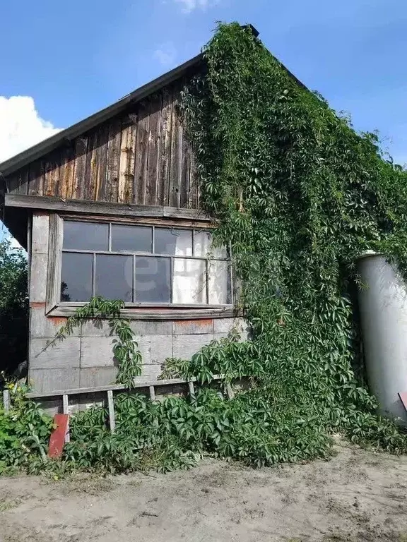 Дом в Курганская область, Курган Золотая Нива СНТ,  (20 м) - Фото 1