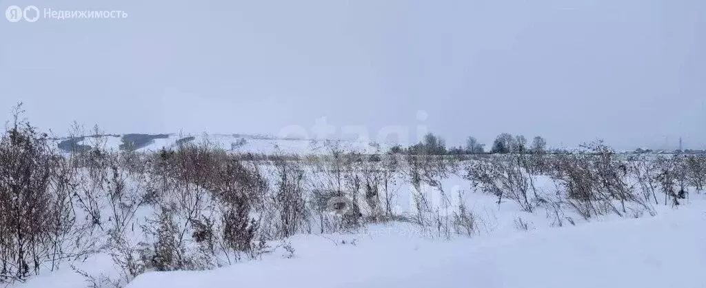 Участок в село Замартынье, улица имени Героя Советского Союза Михаила ... - Фото 2