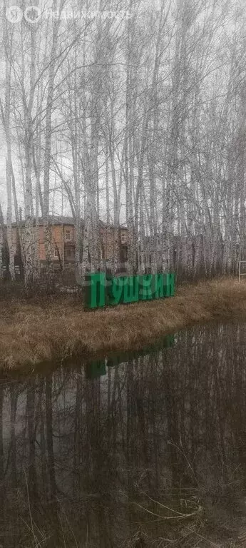 Участок в муниципальный округ Омский район, село Пушкино (8.26 м) - Фото 2