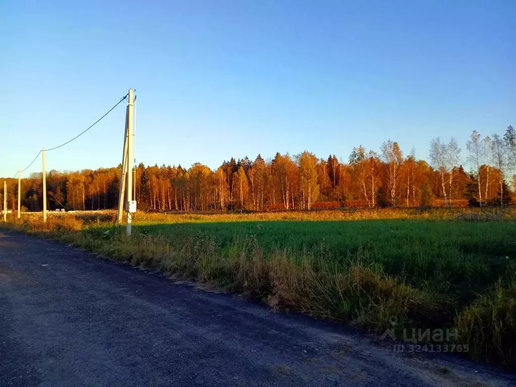 Участок в Московская область, Истра муниципальный округ, д. Загорье, ... - Фото 2