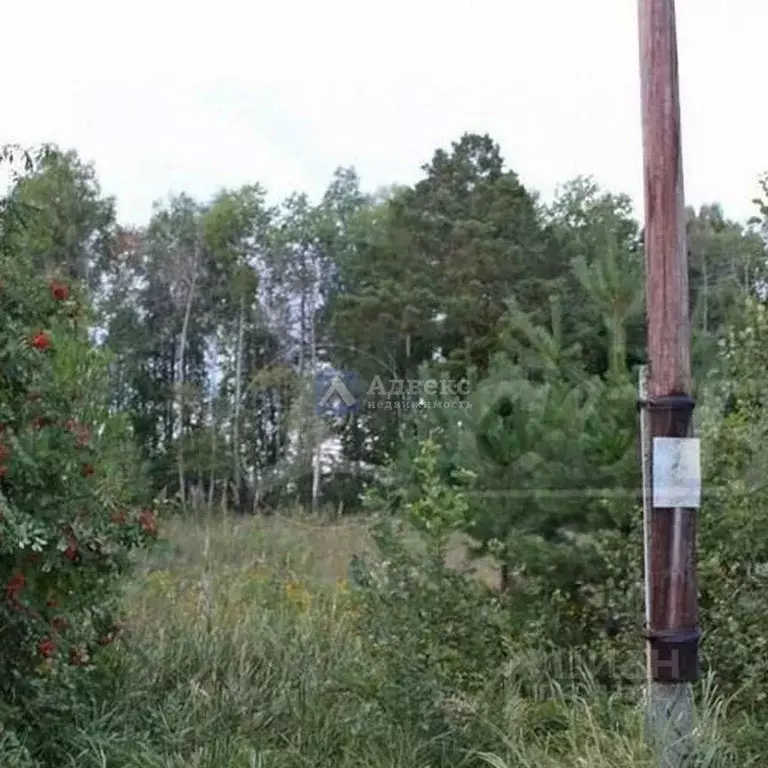 Участок в Тюменская область, Тюменский муниципальный округ, д. ... - Фото 2