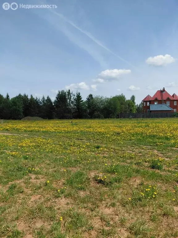 Участок в Завьяловский район, село Гольяны (35 м) - Фото 1