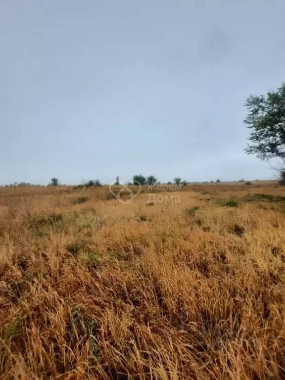 Участок в Волгоградская область, Краснослободск Среднеахтубинский ... - Фото 0