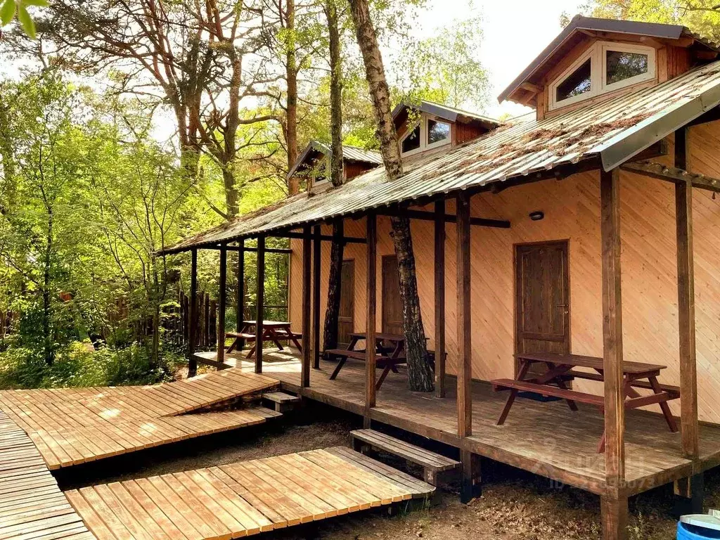 Комната Калининградская область, Зеленоградский муниципальный округ, ... - Фото 2