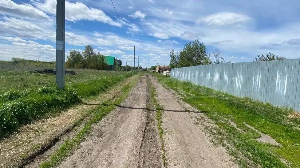 Участок в Тюменская область, Исетский район, с. Верхнебешкиль ... - Фото 1