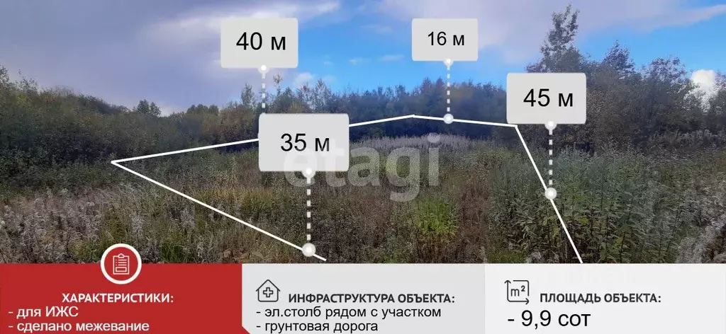 Участок в Вологодская область, Великоустюгский муниципальный округ, д. ... - Фото 1