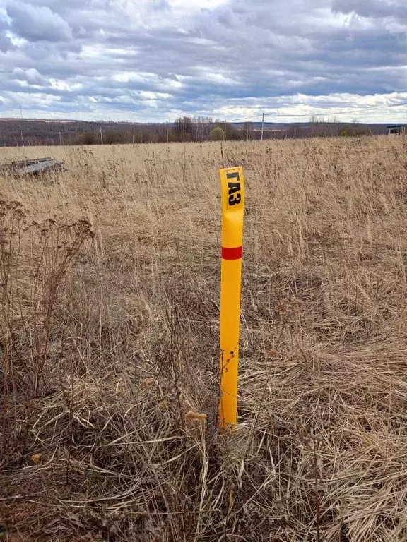 Участок в Нижегородская область, Дальнеконстантиновский муниципальный ... - Фото 1