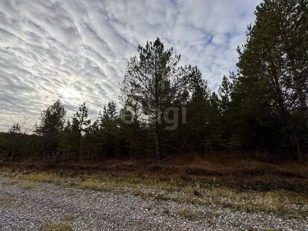 Участок в Свердловская область, Талица ул. Луначарского (10.6 сот.) - Фото 1
