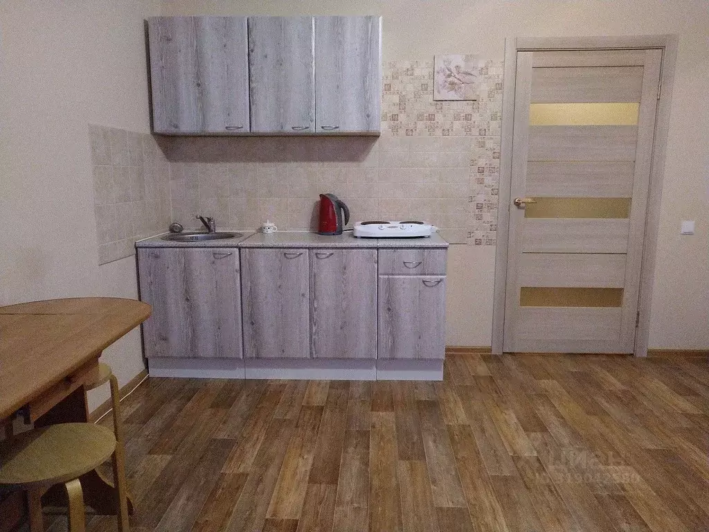 Студия Новосибирская область, Новосибирск Красный просп., 310 (26.7 м) - Фото 0