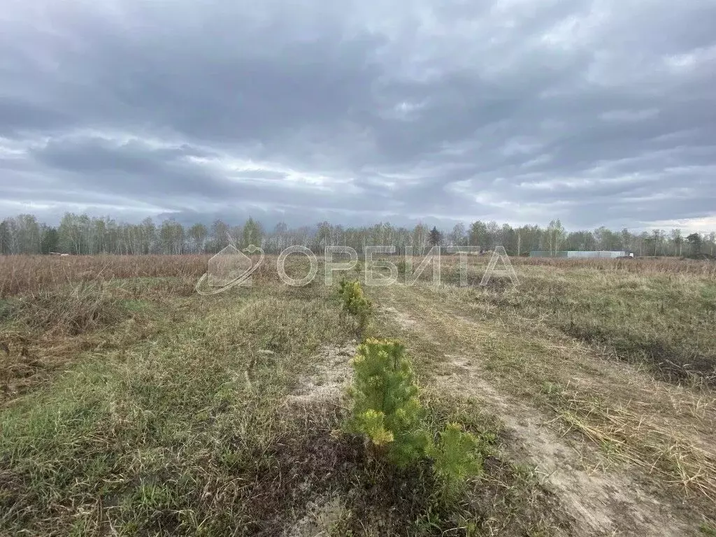 Участок в Тюменская область, Тюменский район, с. Каменка  (12.7 сот.) - Фото 1