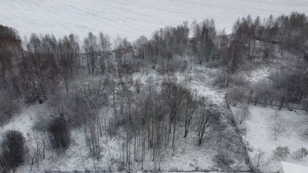 Участок в Московская область, Волоколамский муниципальный округ, д. ... - Фото 0