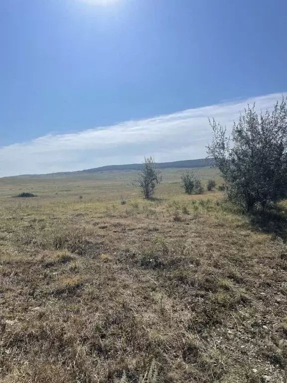 Участок в Ставропольский край, Шпаковский муниципальный округ, ... - Фото 2