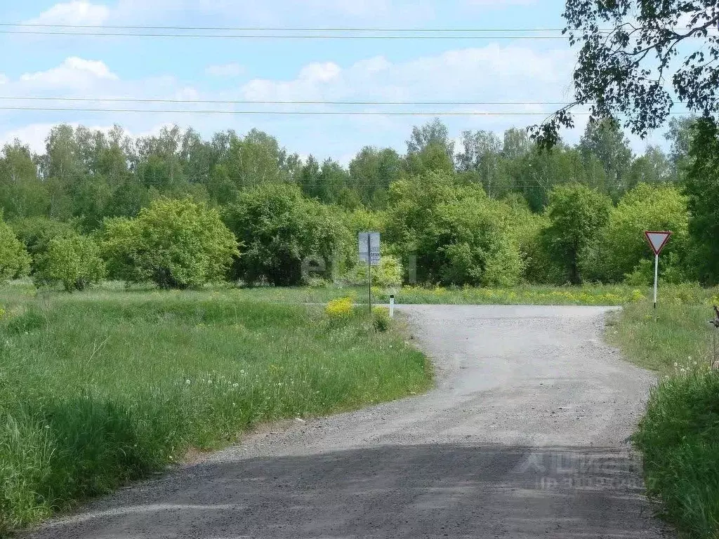 Участок в Новосибирская область, Новосибирский район, Березовский ... - Фото 1