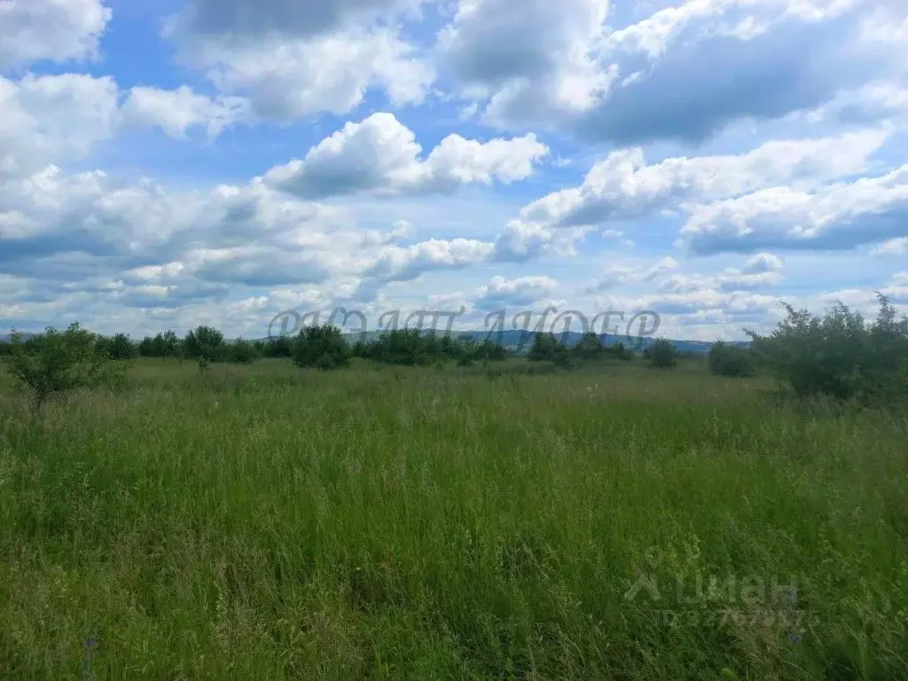 Участок в Алтайский край, Алтайский район, Айский сельсовет, ... - Фото 0