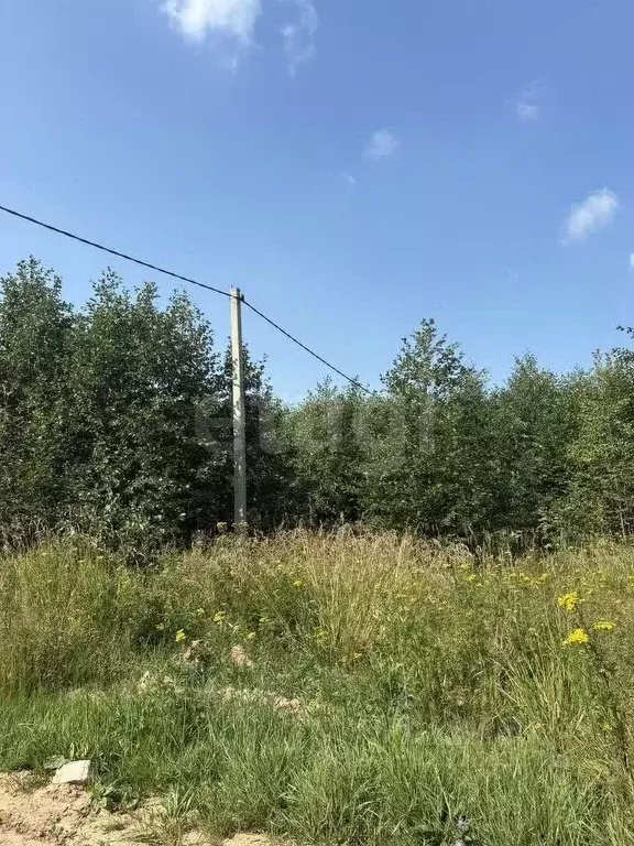 Участок в Ярославская область, Ярославский муниципальный округ, д. ... - Фото 2