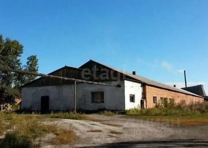 Склад в Новосибирская область, Ордынский район, пос. Чернаково ул. ... - Фото 1