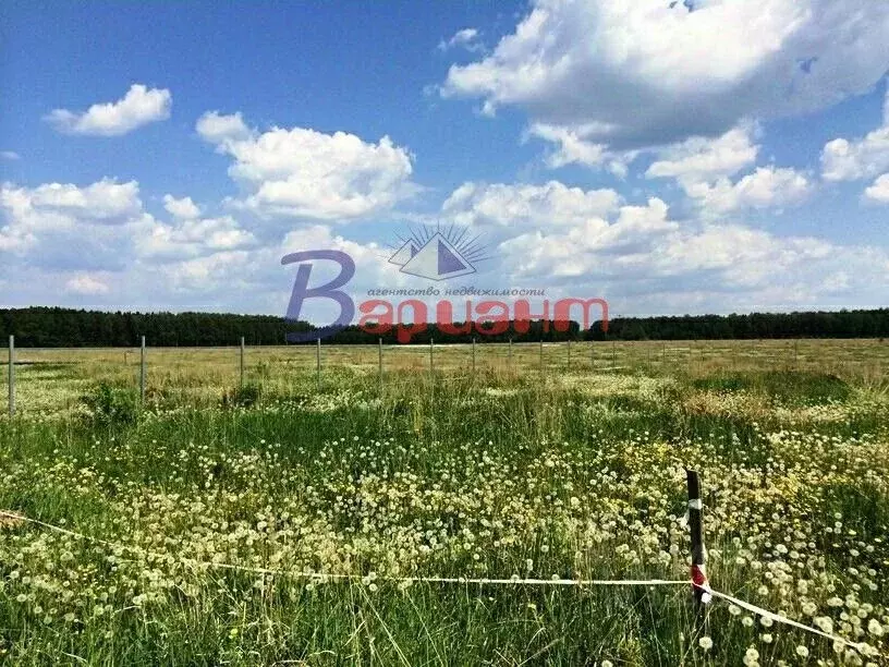 Участок в Челябинская область, Чебаркульский муниципальный округ, д. ... - Фото 1