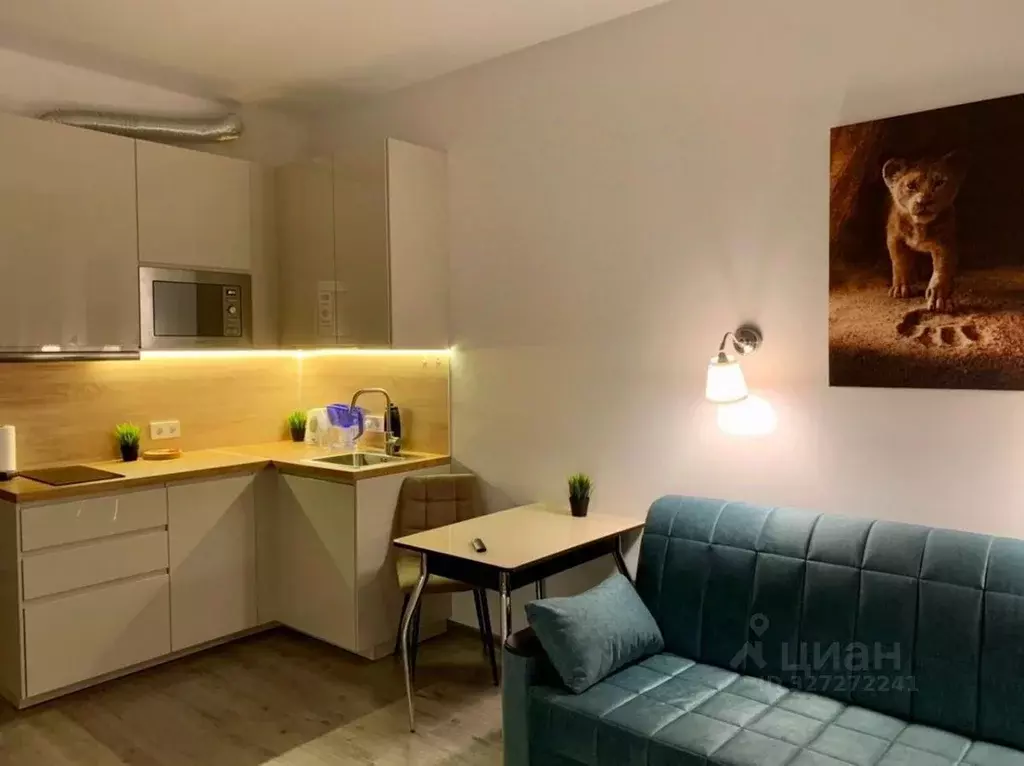 Студия Москва Востряковское ш., 7с1 (23.5 м) - Фото 1