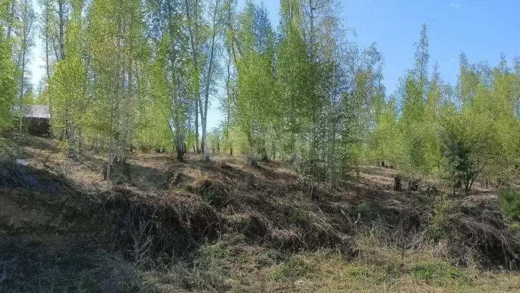 Участок 12 сот. (личное подсобное хозяйство (лпх)) - Фото 1